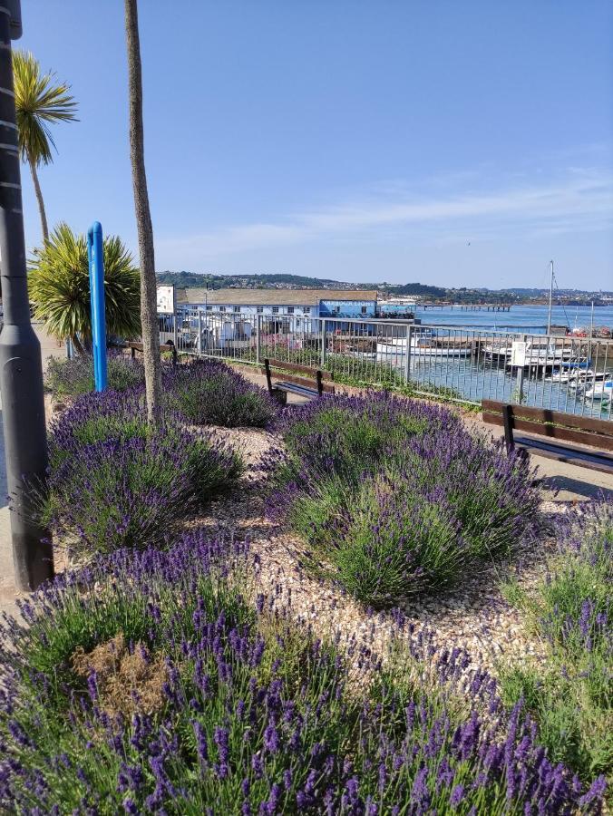 Cleve Court Hotel Paignton Luaran gambar